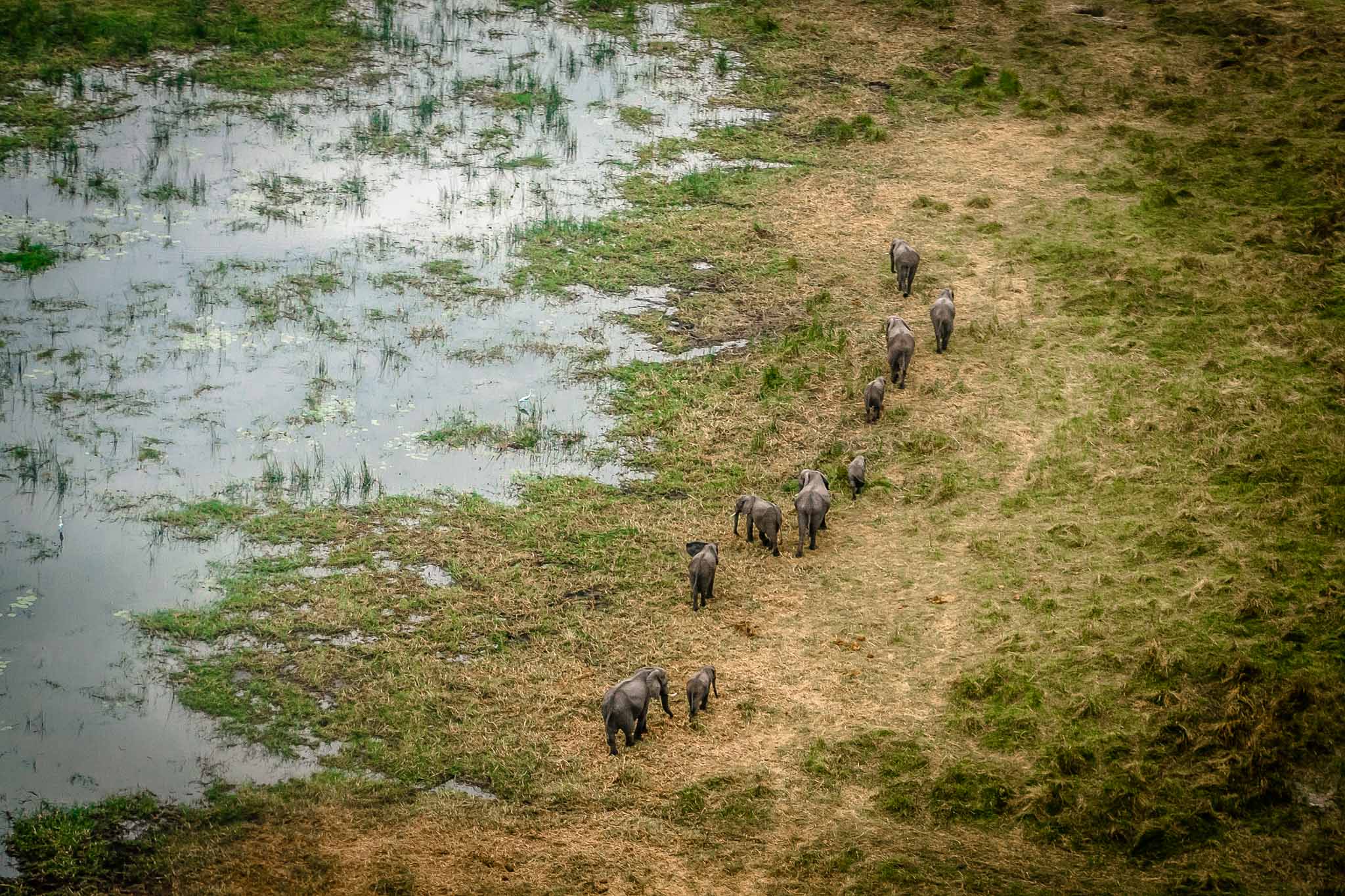 Tanzania Safari FAQs
