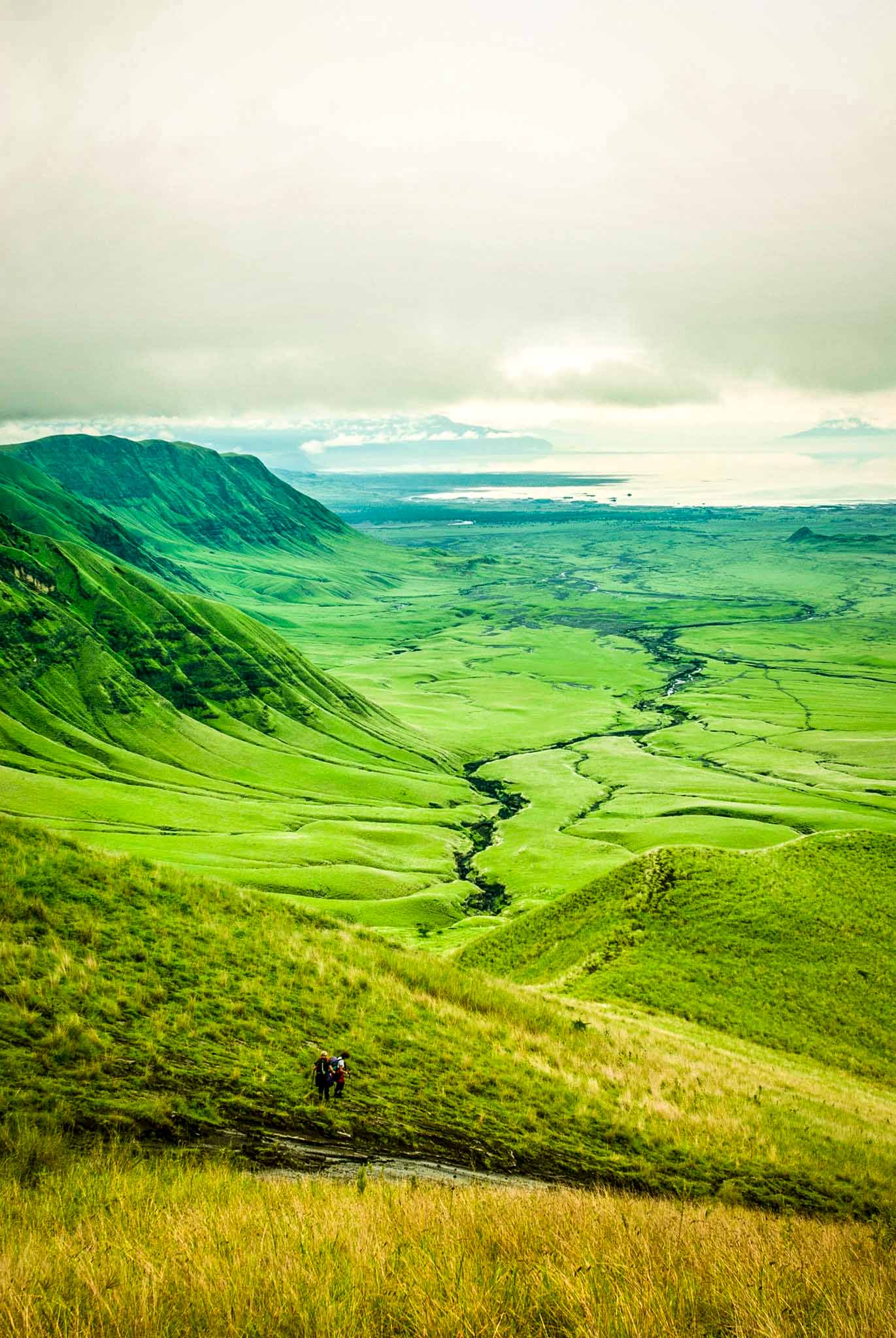 Plan Your Tanzania Safari Trip