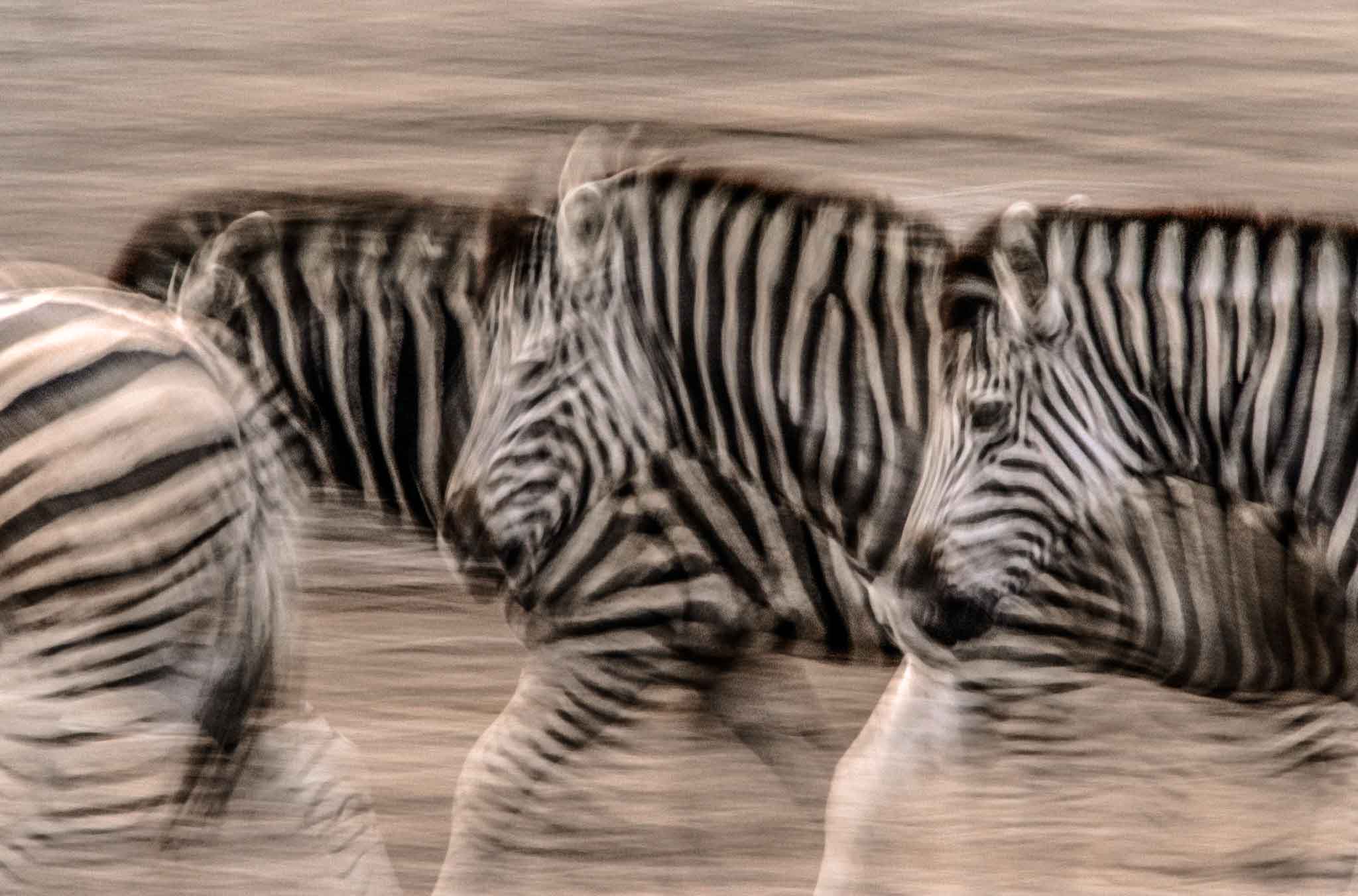 Arusha National Park