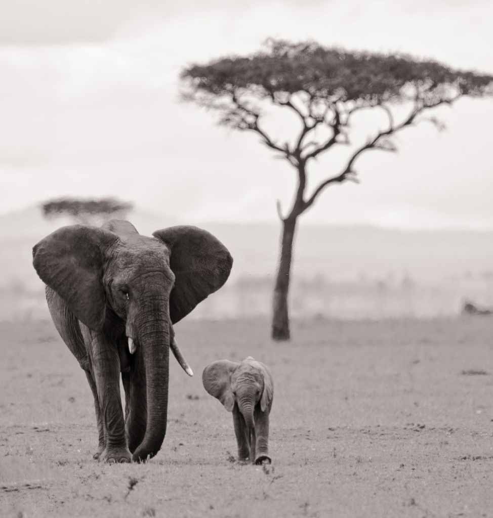 Tarangire National Park