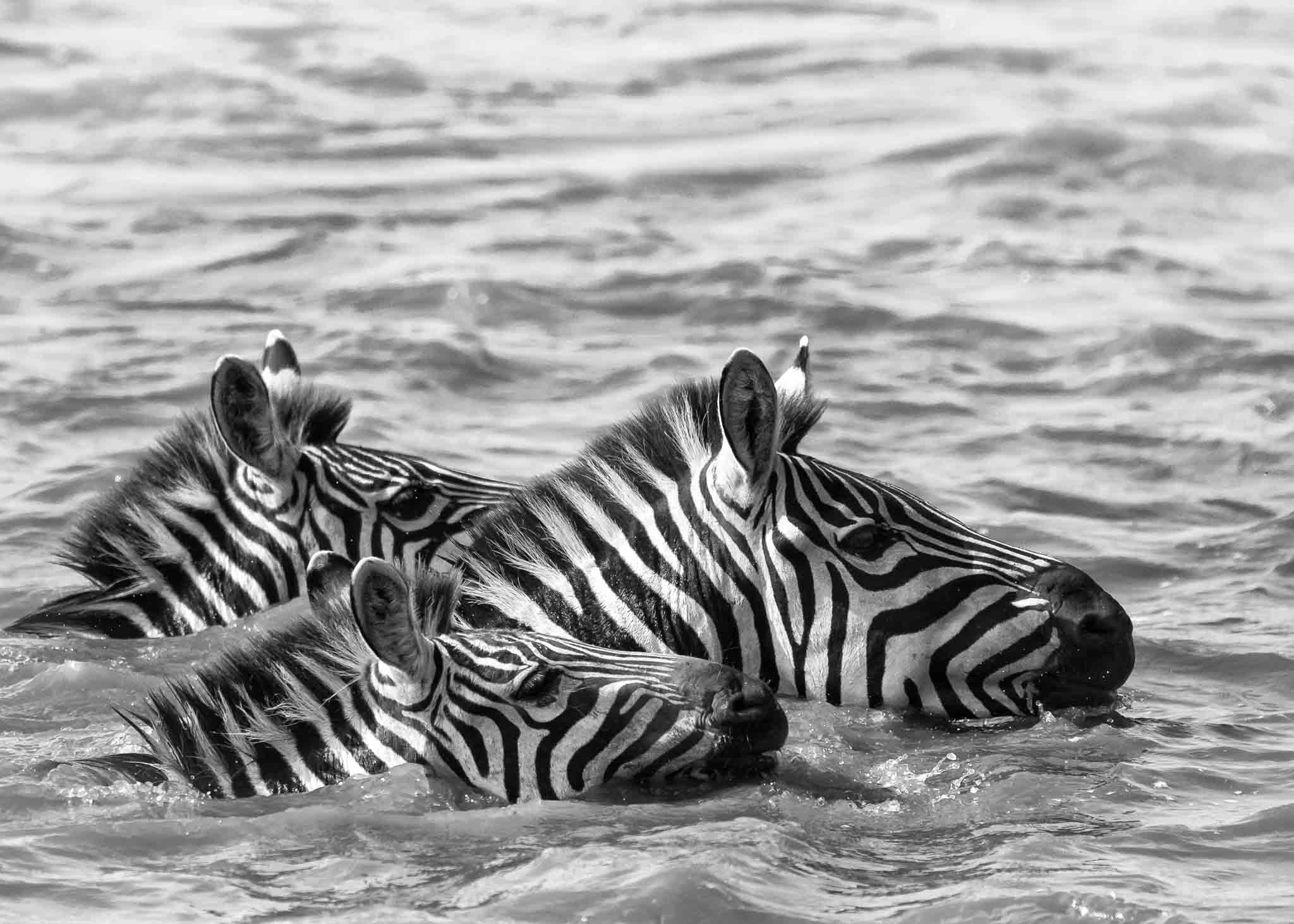 How Much Is the Visa for Tanzania