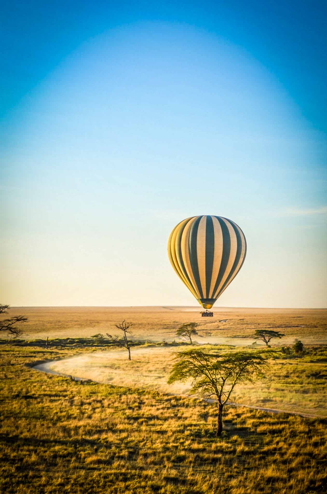 Hot Air Balloon