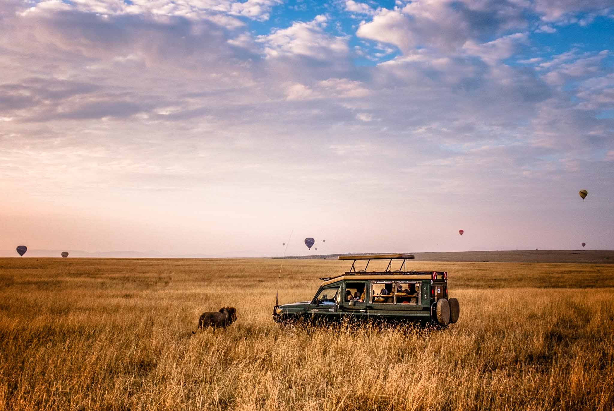 Tanzania Safari